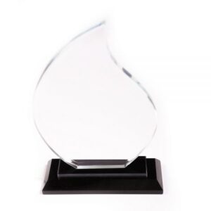 Trophées Brillants - Personnalisation Élégante