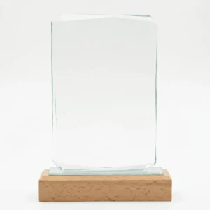 Trophée en Verre Rectangulaire "Horizon"
