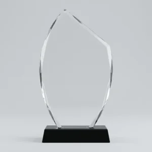 Trophée en Verre "Élan" Asymétrique