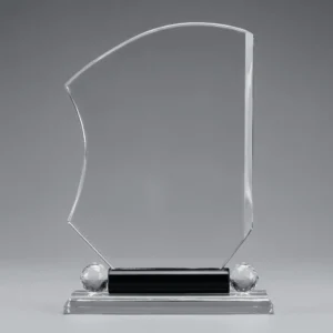 Trophée en Verre "Vague Créative"