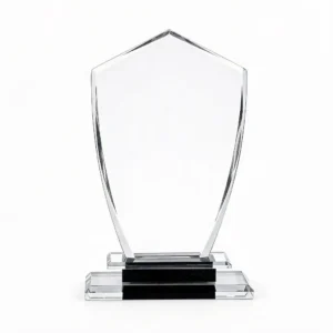 Trophée en Verre "Écusson" avec Socle Contrasté